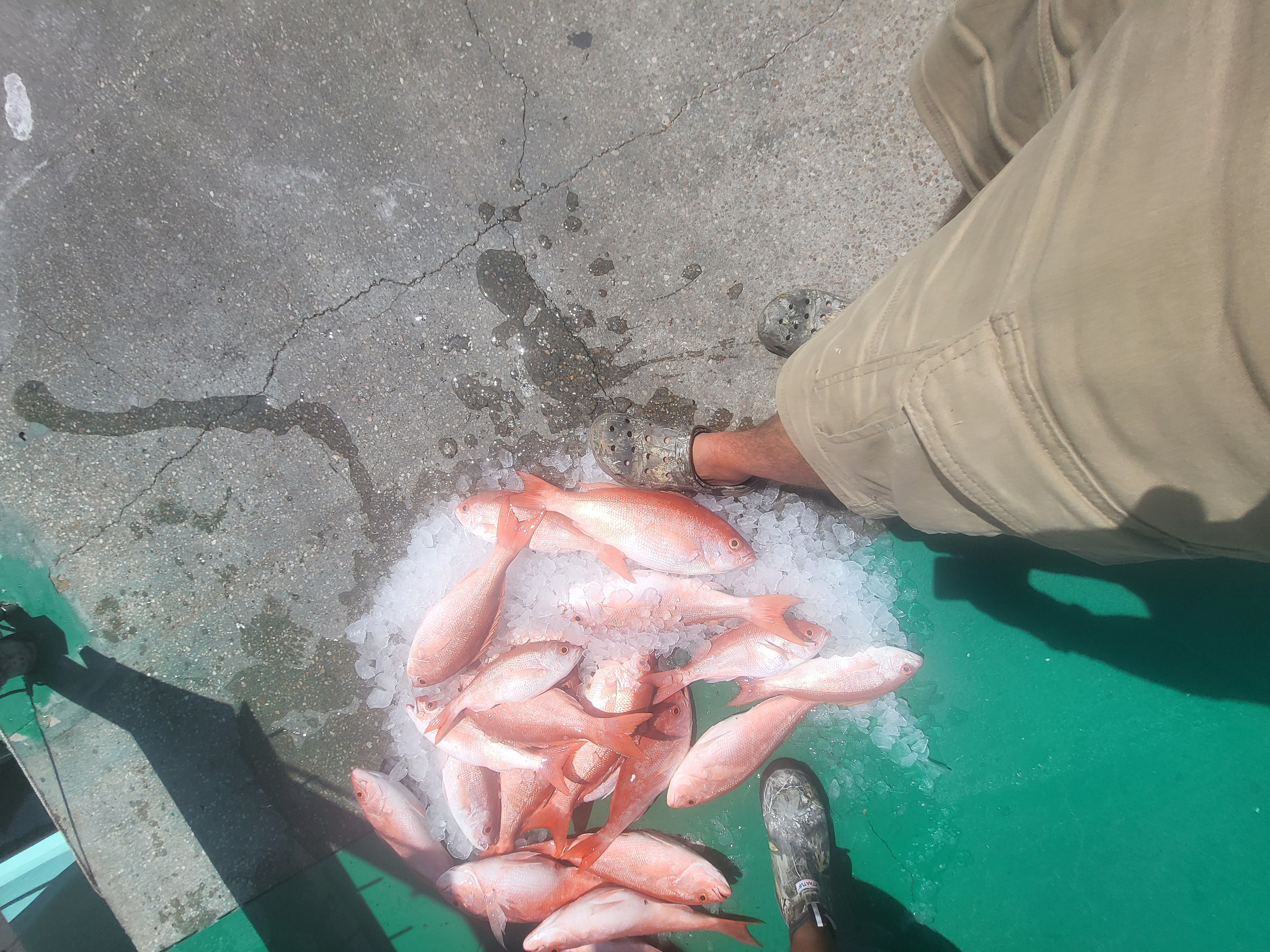 Fishing in Destin