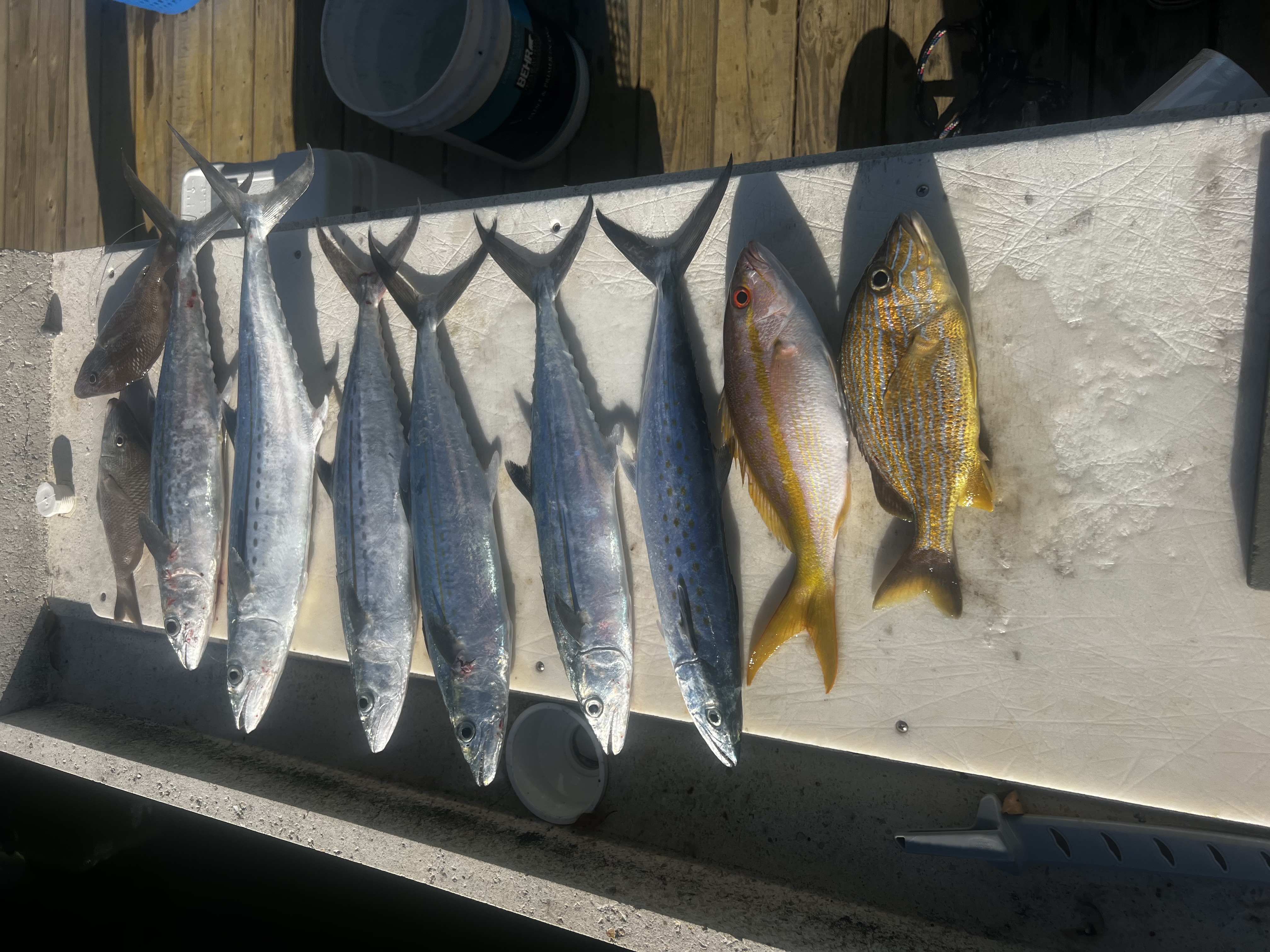 Fishing in Destin