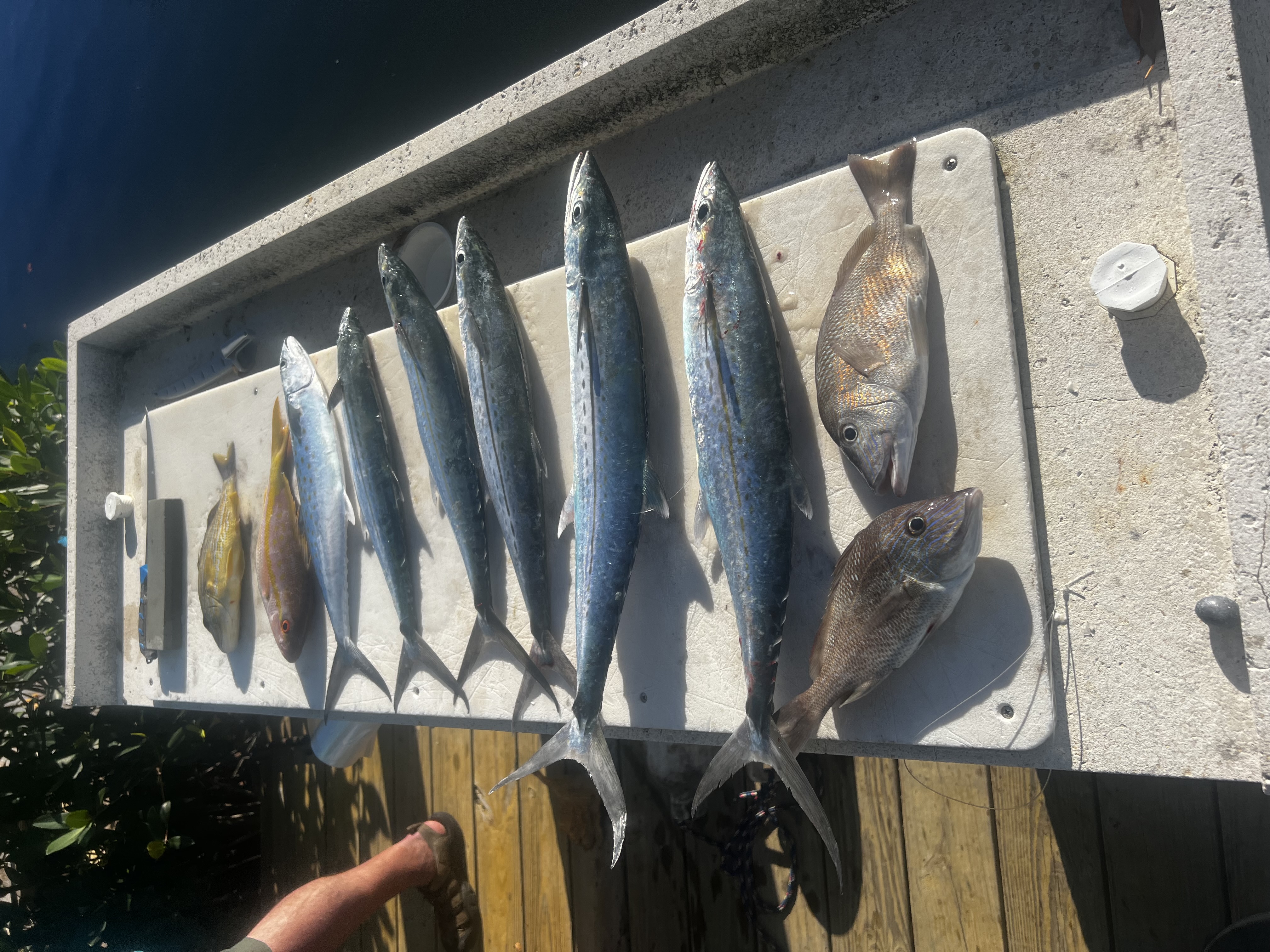 Fishing in Destin
