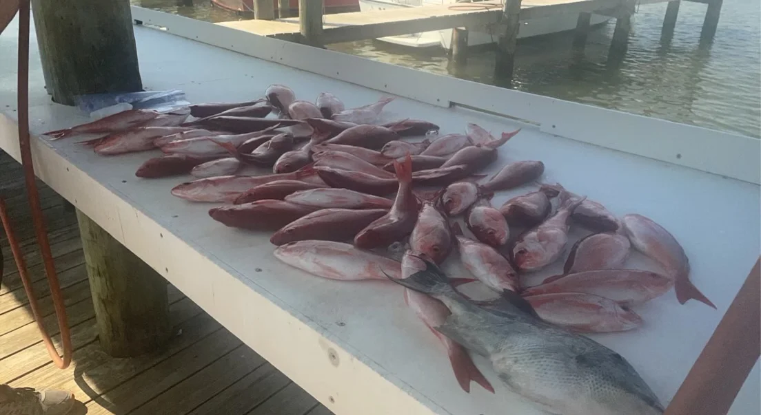 Fishing in Destin