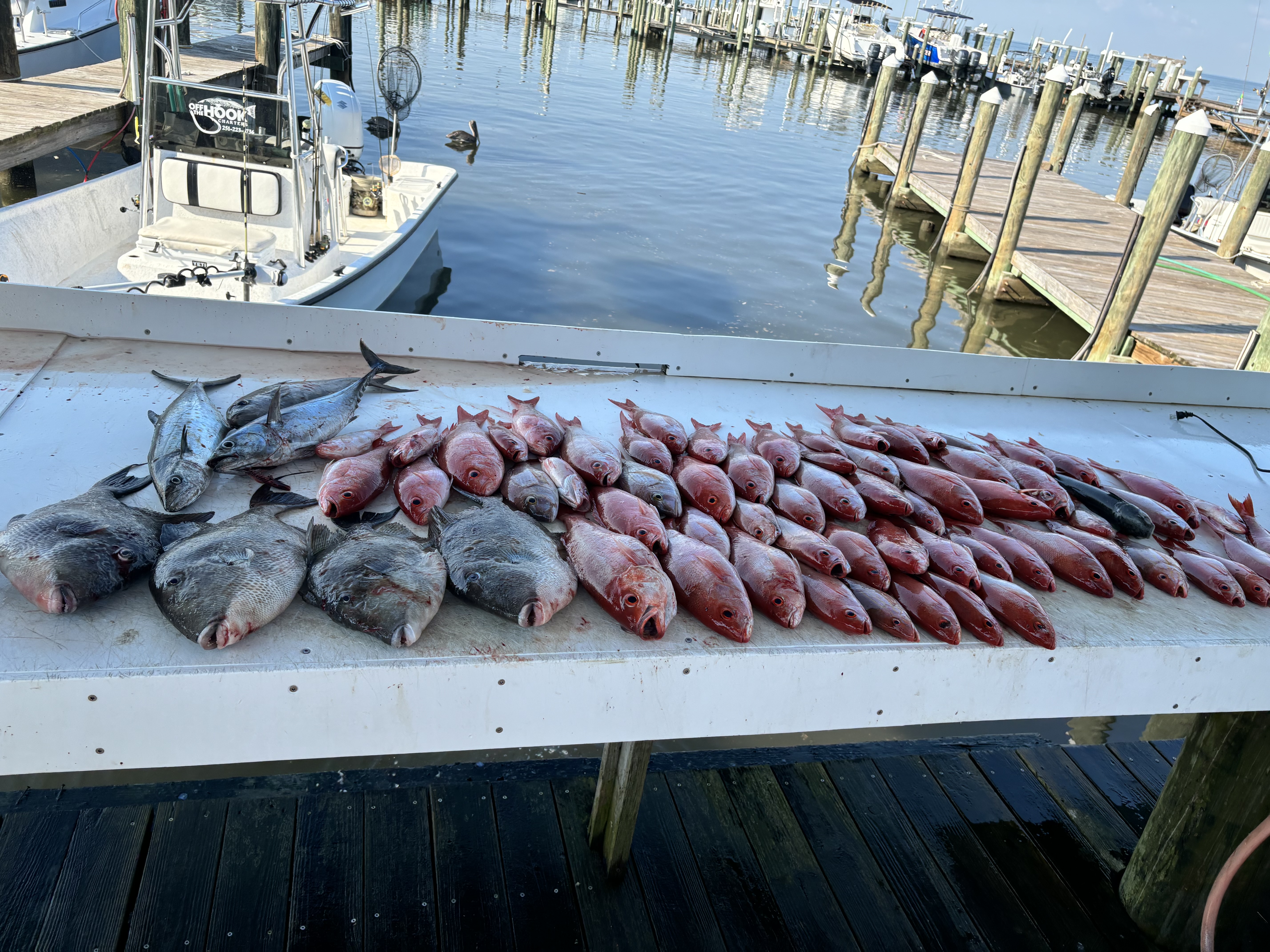 Fishing in Destin