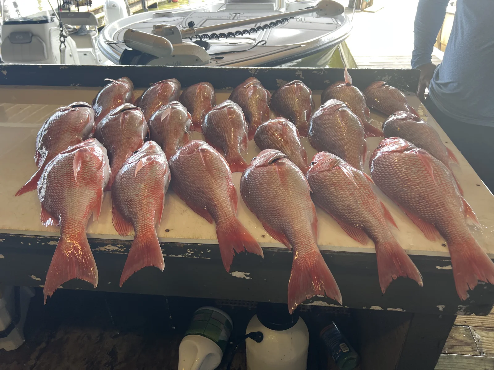 Fishing in Destin