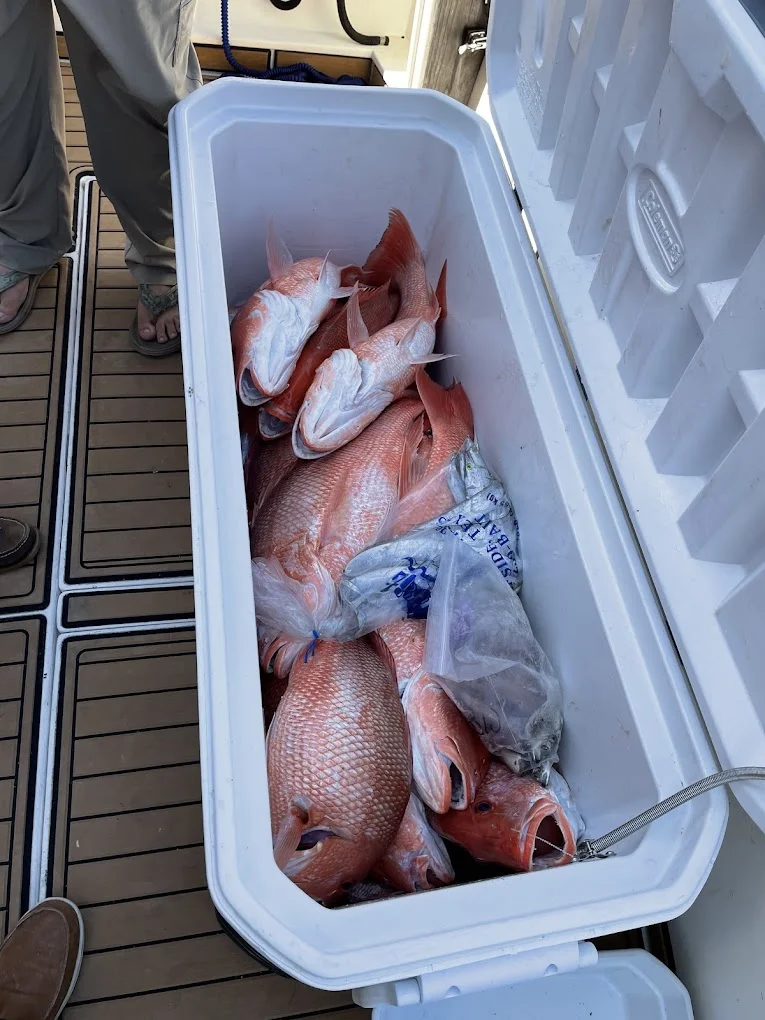 Fishing in Destin