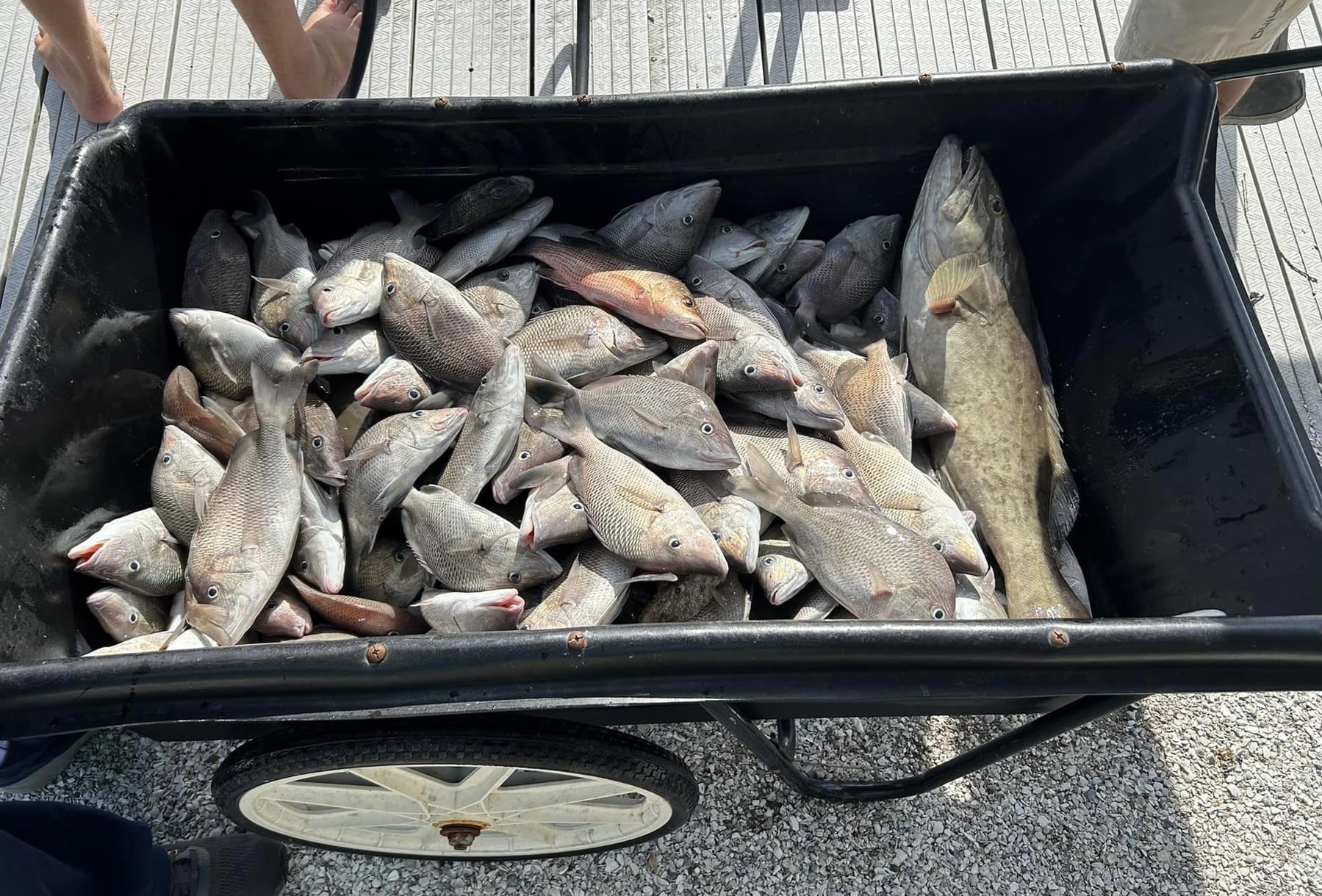 Fishing in Destin