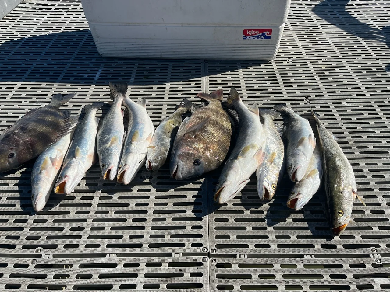 Fishing in Destin