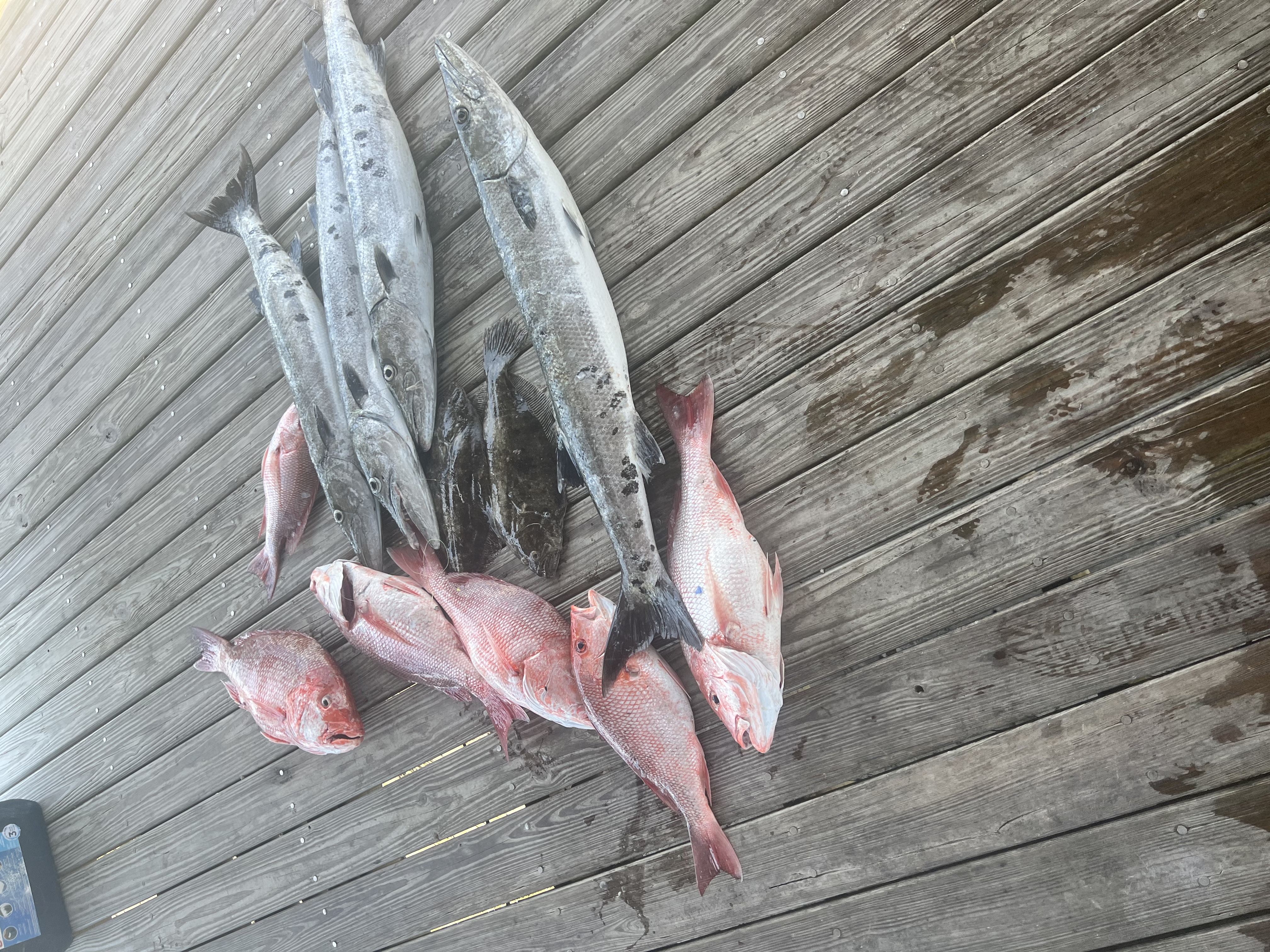 Offshore 6 hour