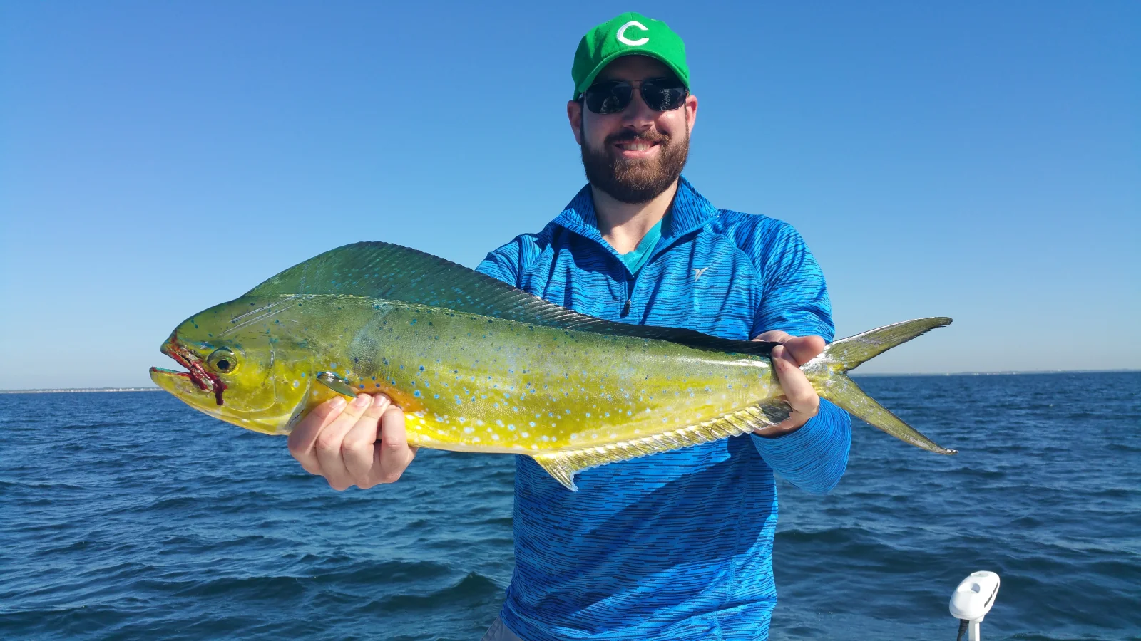 Mahi Mahi Fishing in Pensacola, Florida