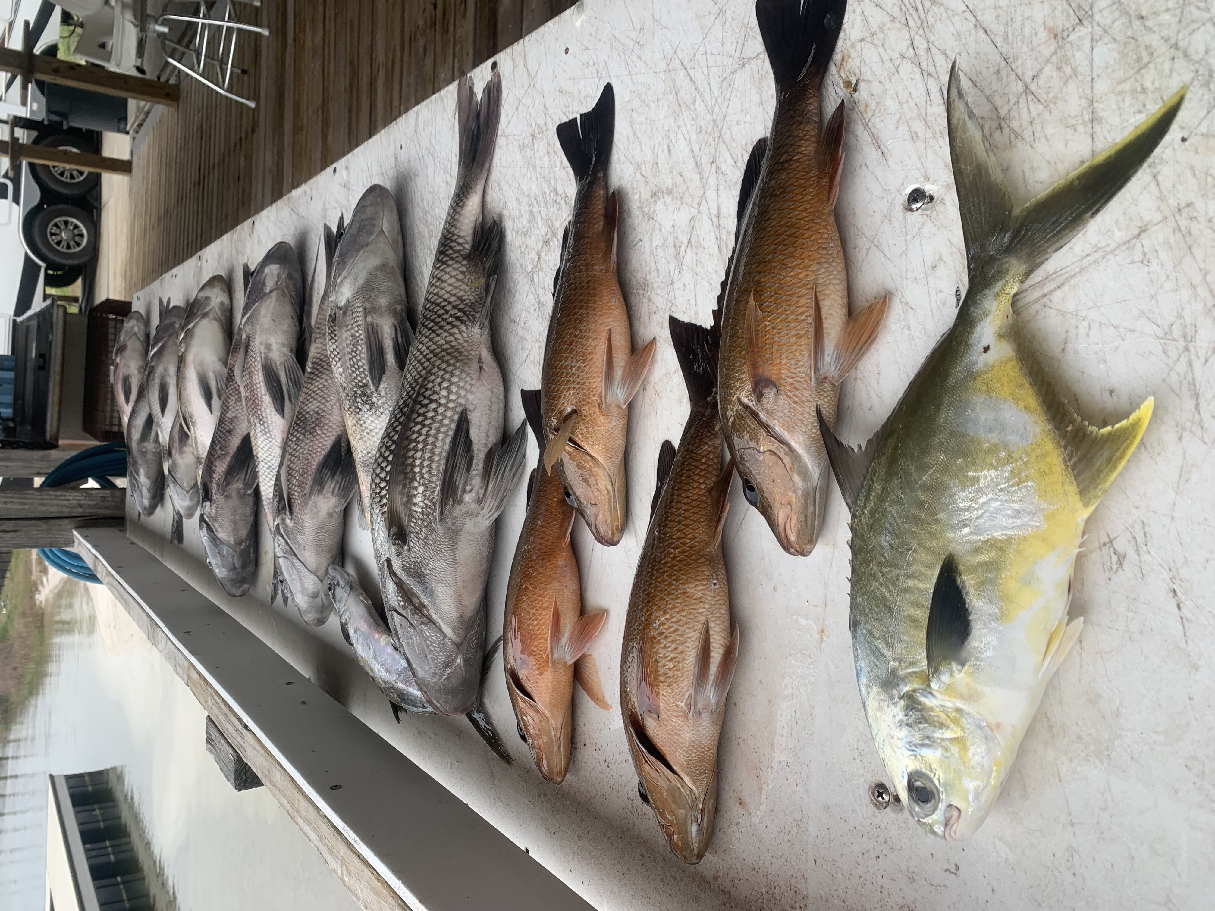 Fishing in Destin