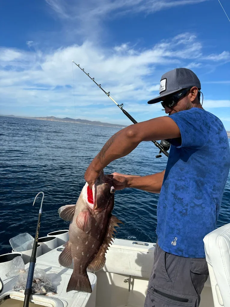 6 Hour - 30 ft CC
