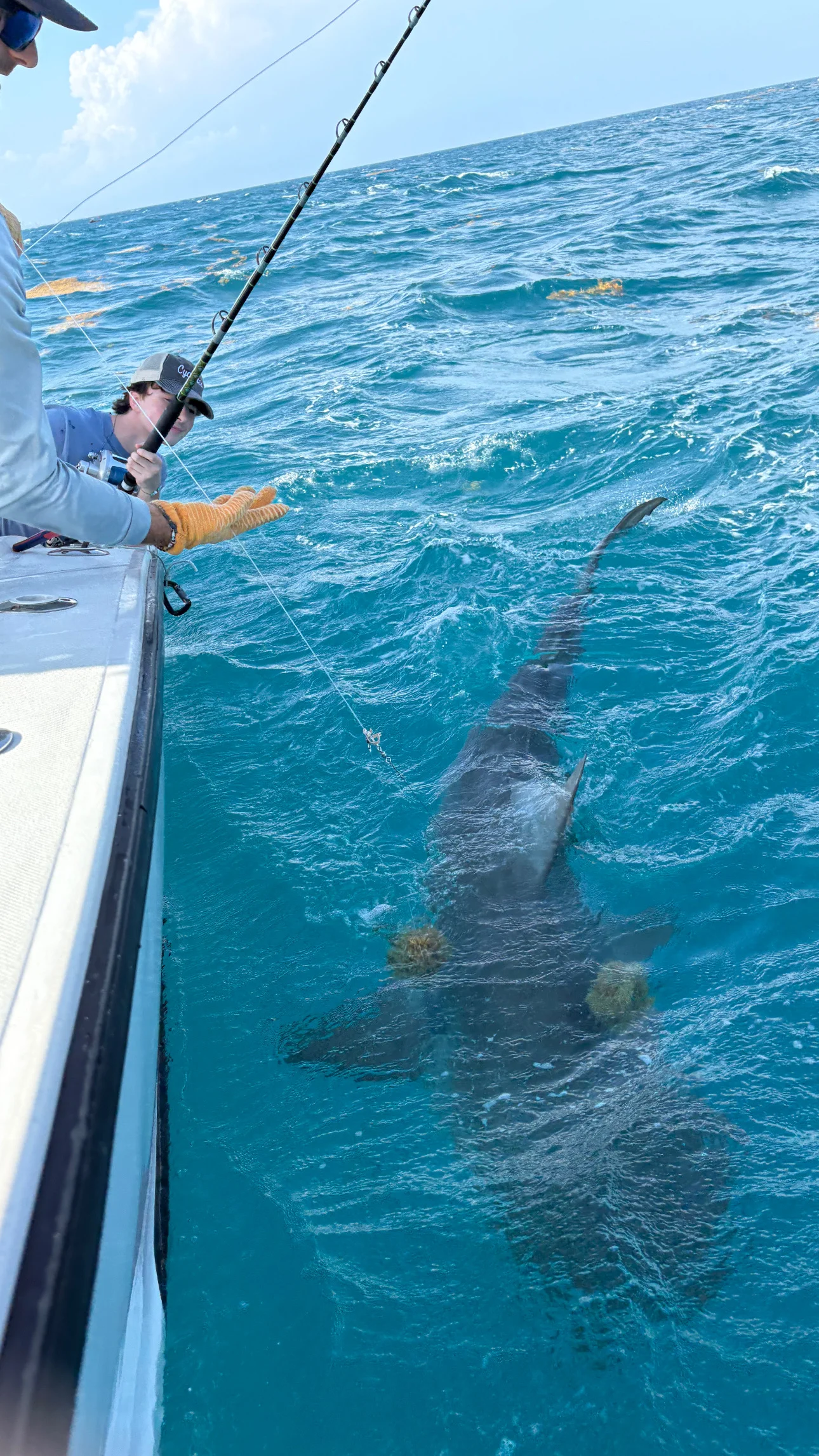 Fishing in Destin