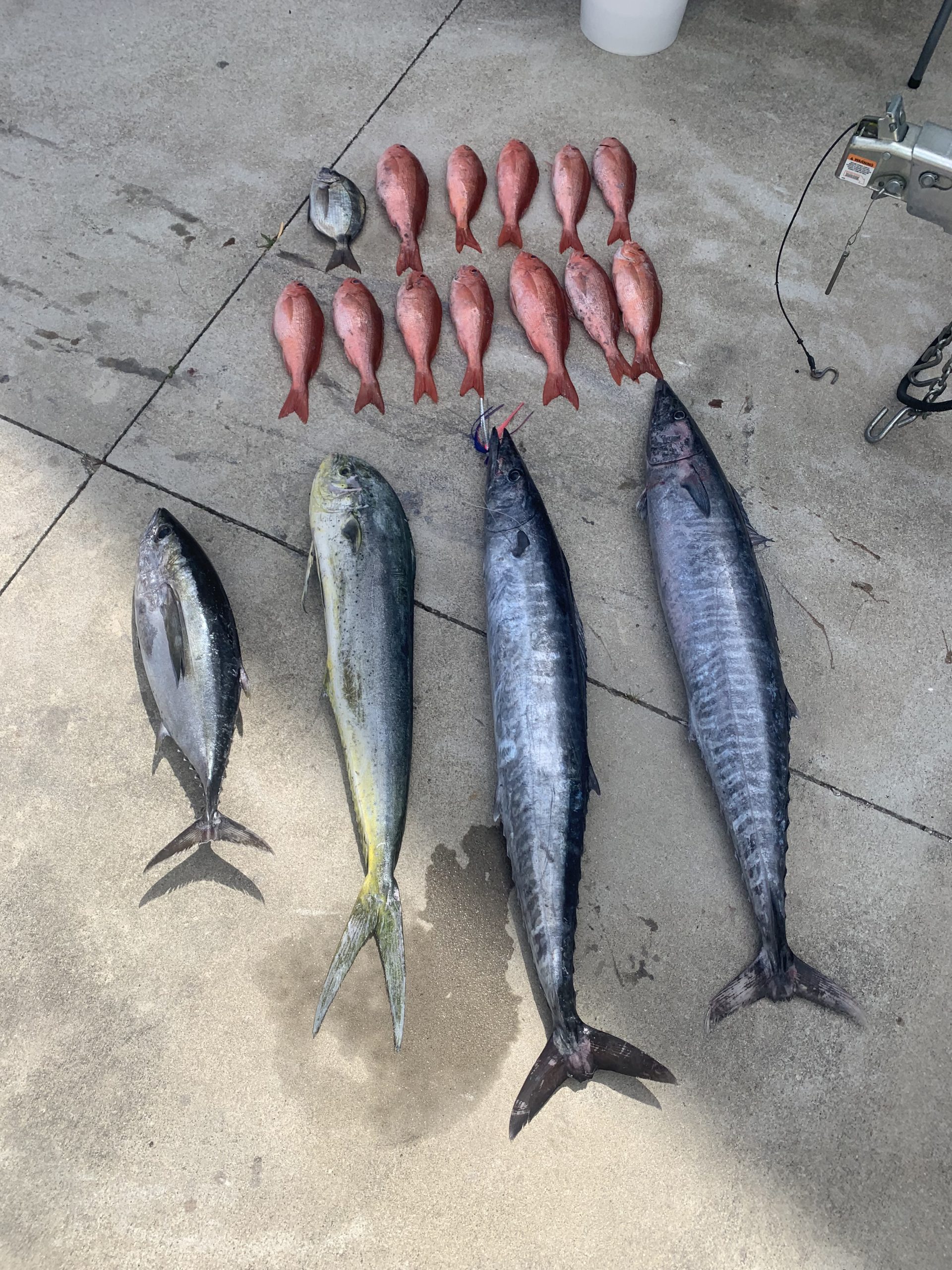 Fishing in Destin