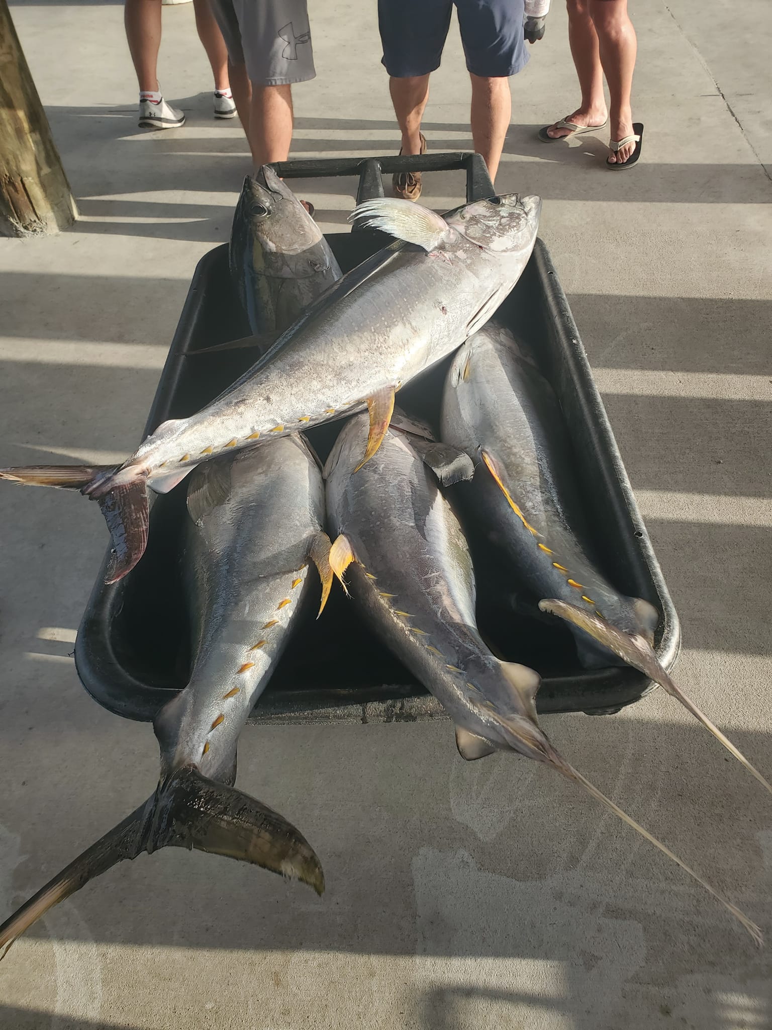 Fishing in Destin