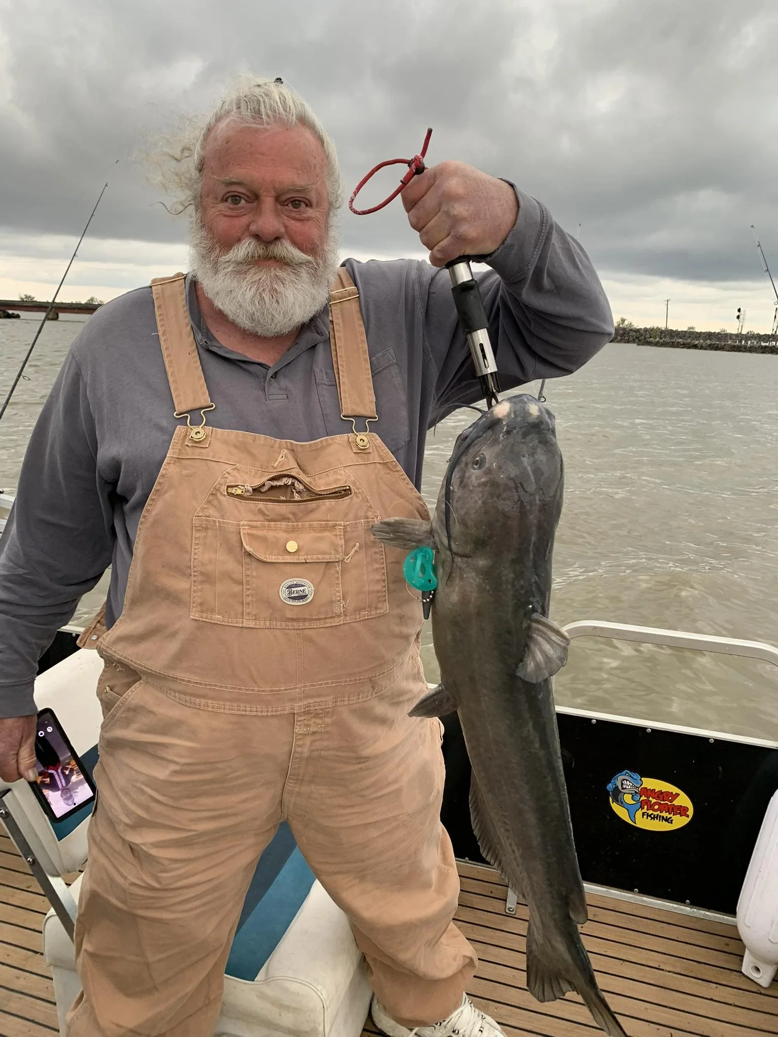 Channel Catfish Sandusky Bay