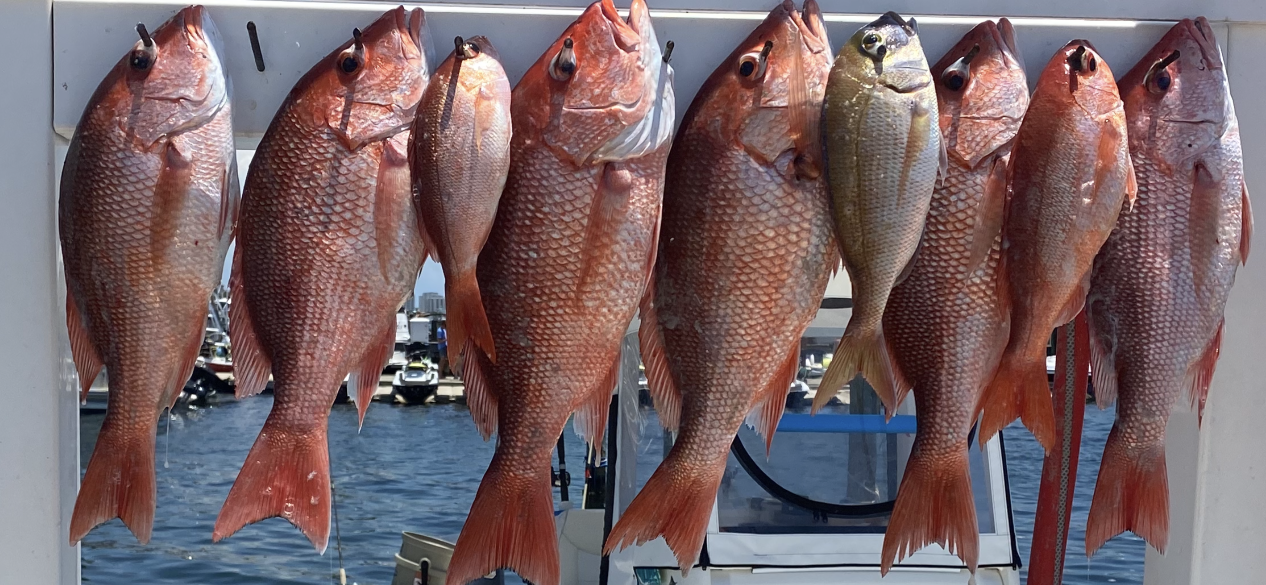 Fishing in Destin