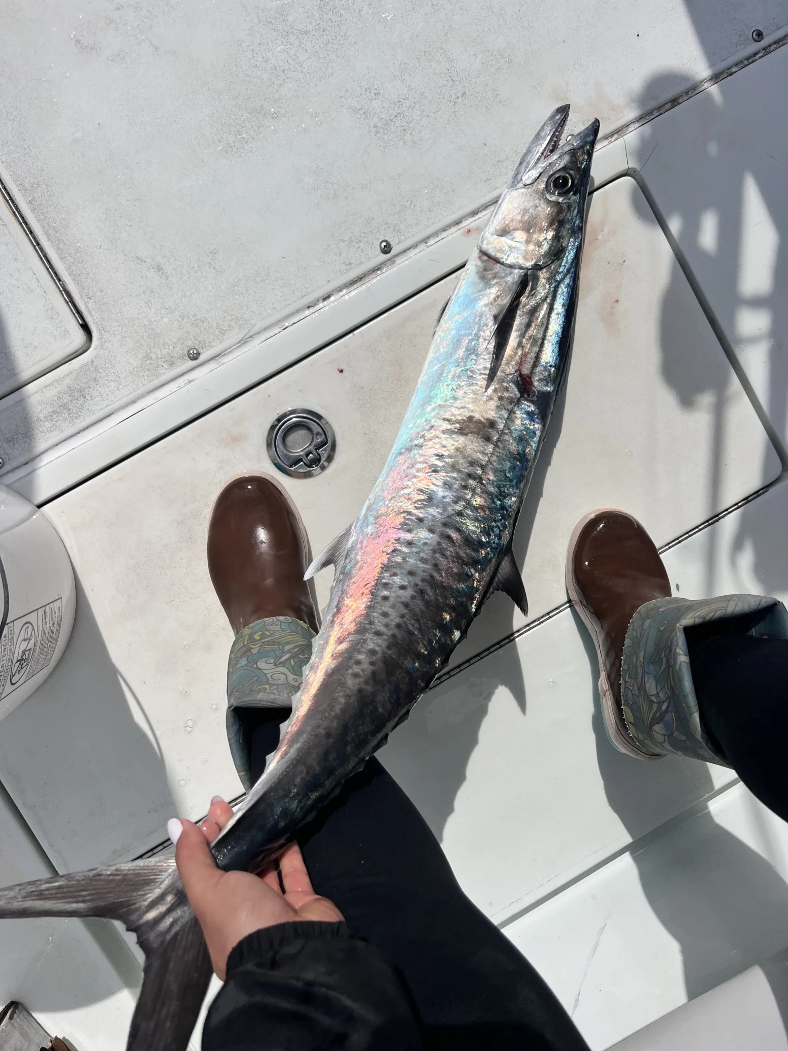 Fishing in Destin