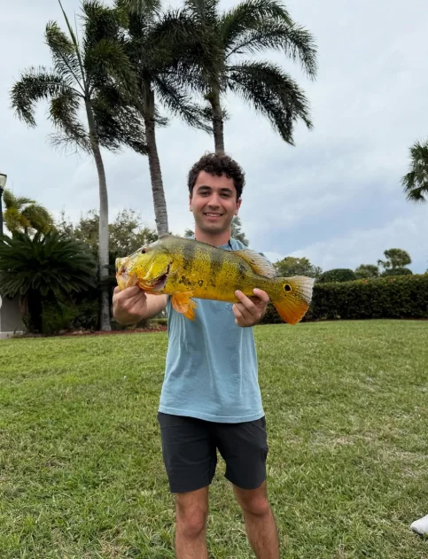 Peacock Bass Blast