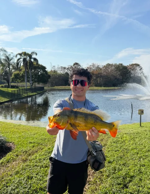 Peacock Bass Blast