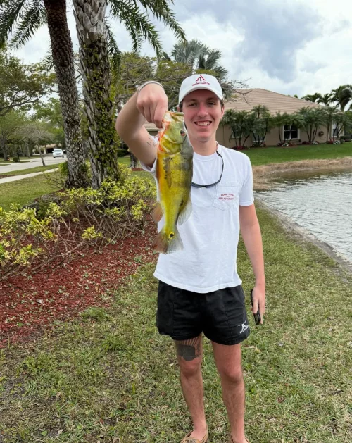 Peacock Bass Blast