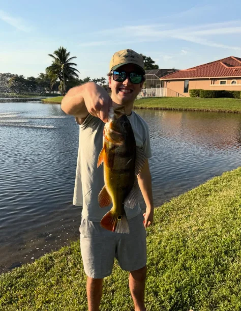 Peacock Bass Blast
