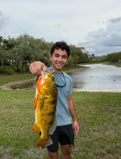 Peacock Bass Blast