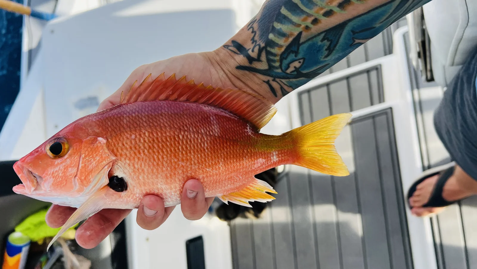 Fishing in Destin