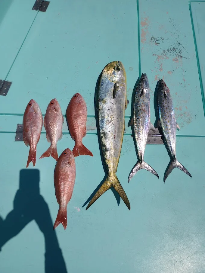 Fishing in Destin
