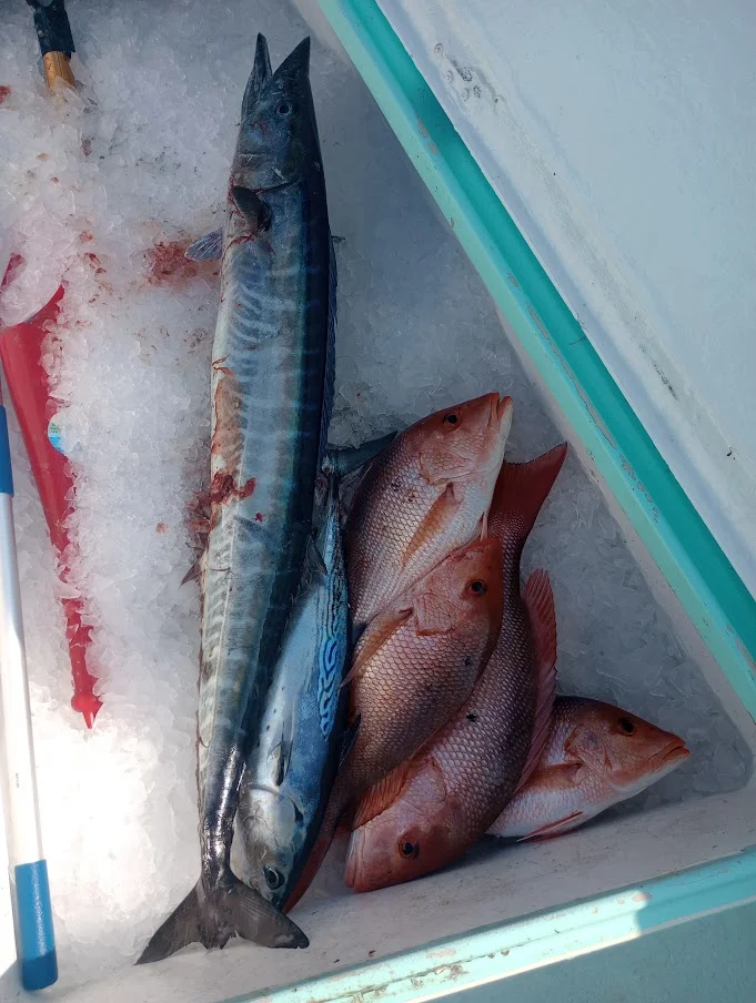 Fishing in Destin