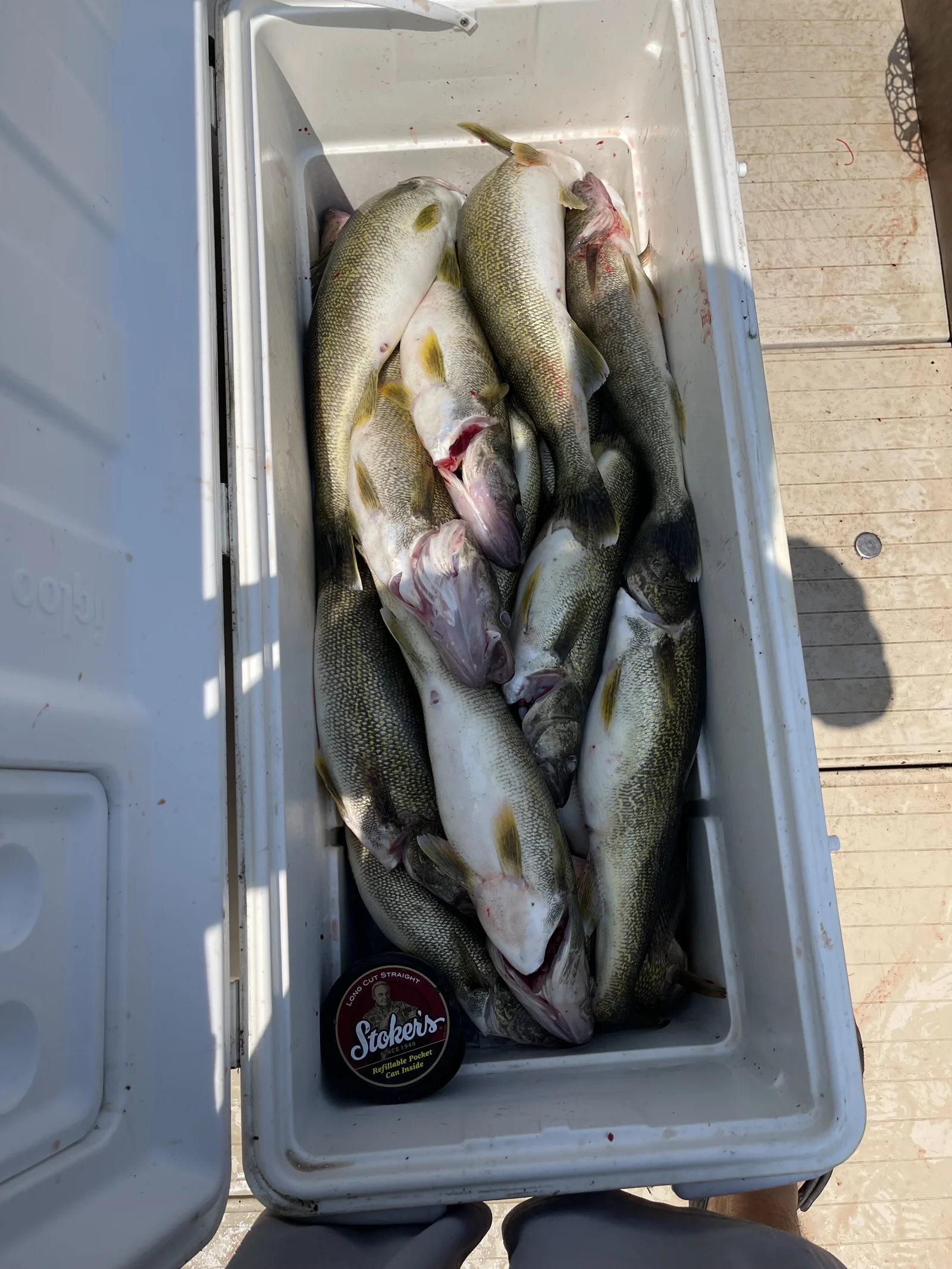 Summer walleye troll