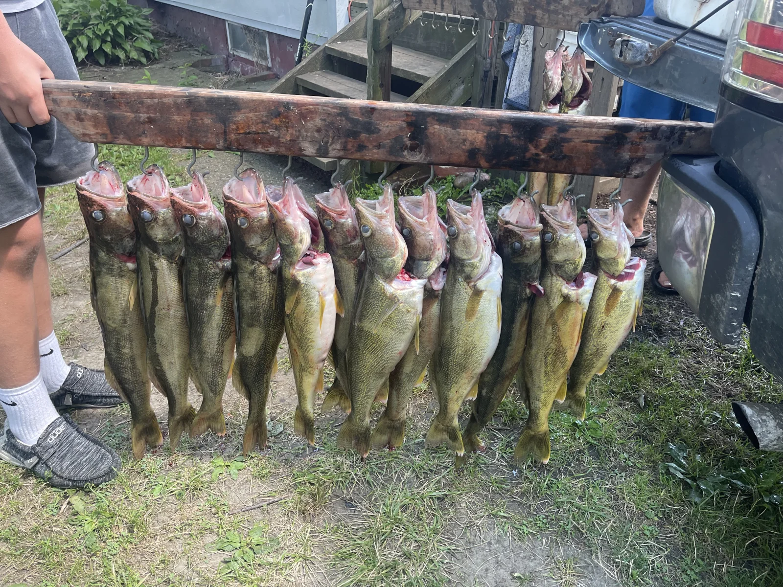 Summer walleye troll