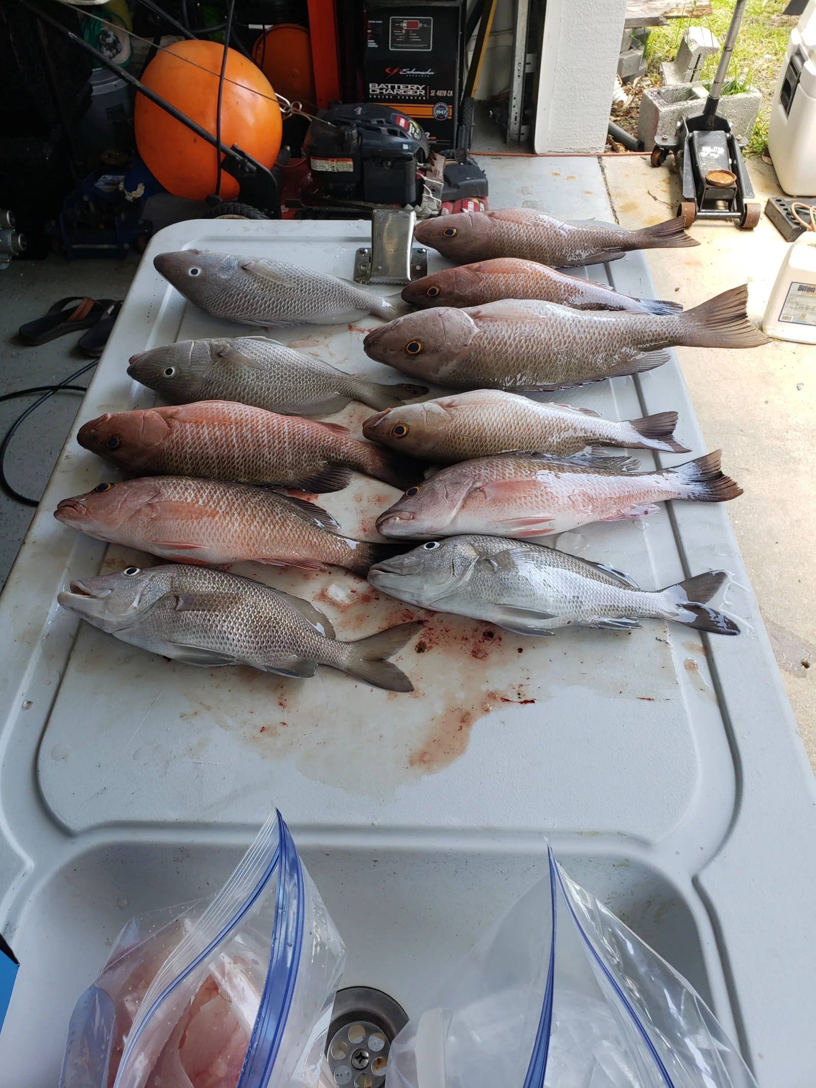 Fishing in Destin