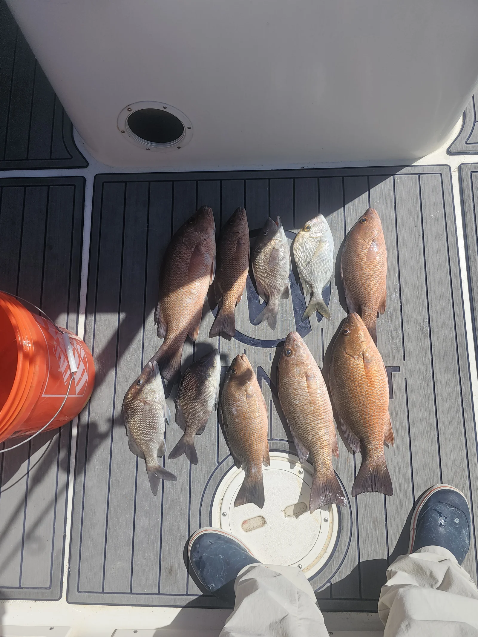 Fishing in Destin