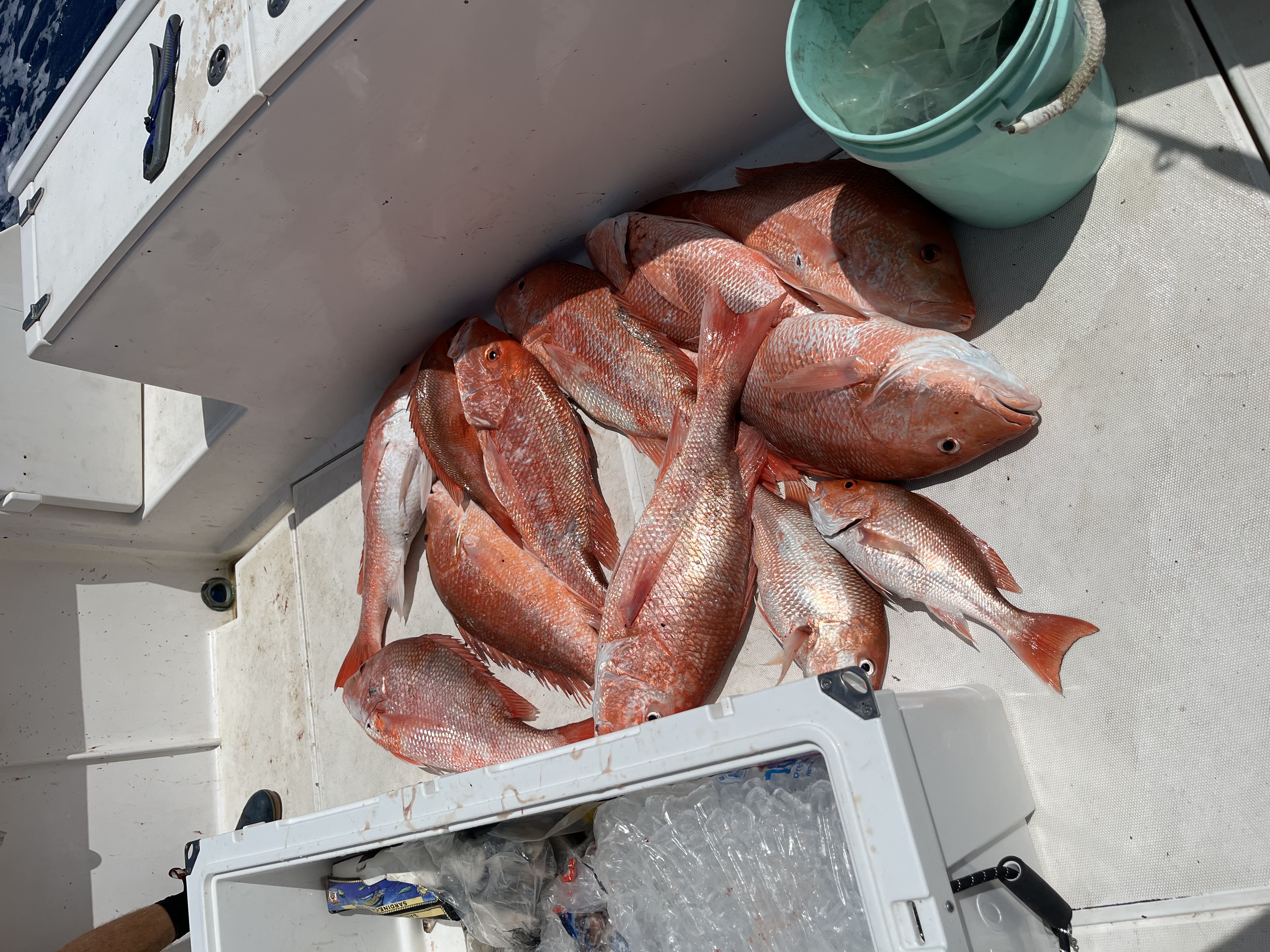 Fishing in Destin