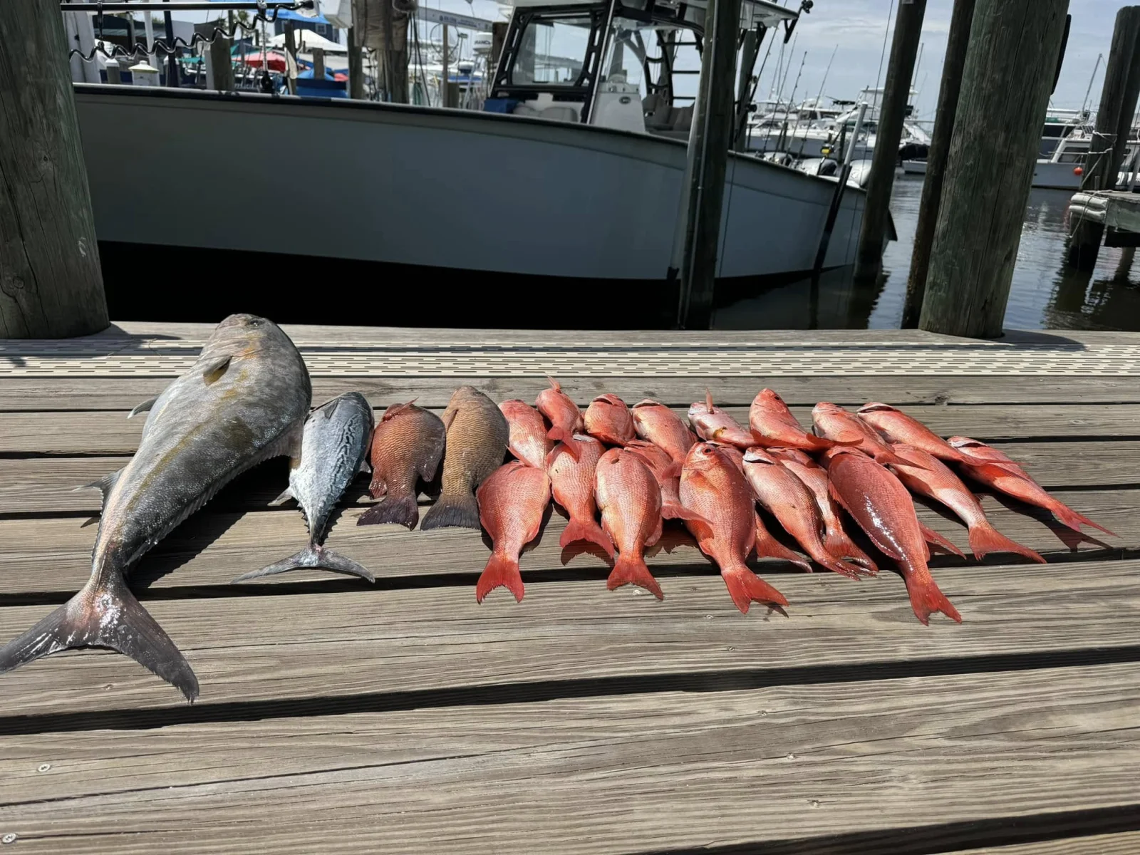 Fishing in Destin