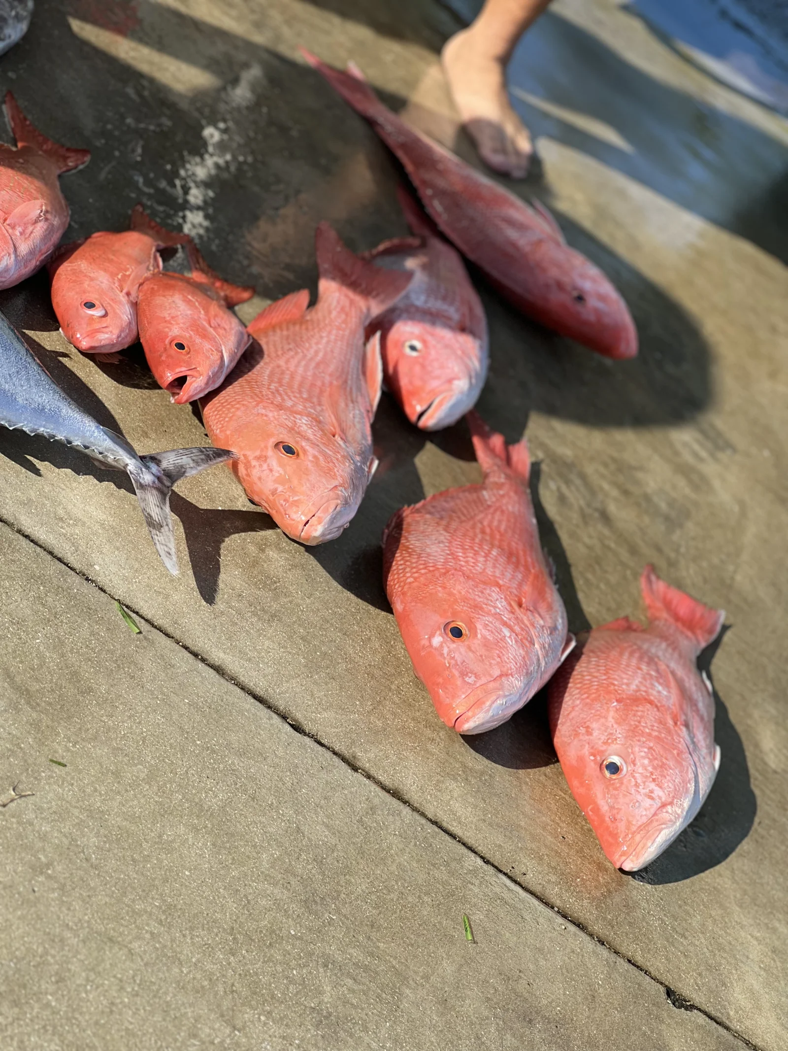 Fishing in Destin
