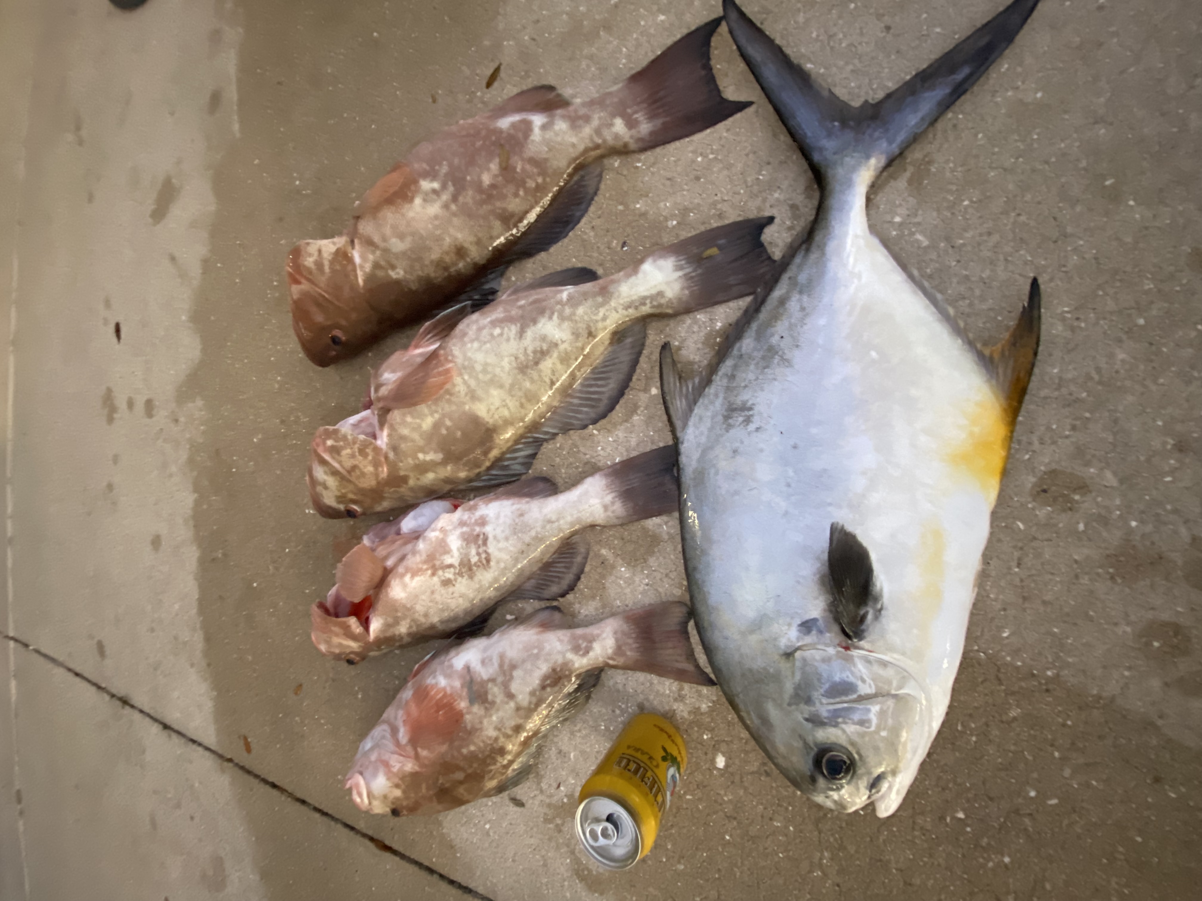 Fishing in Destin