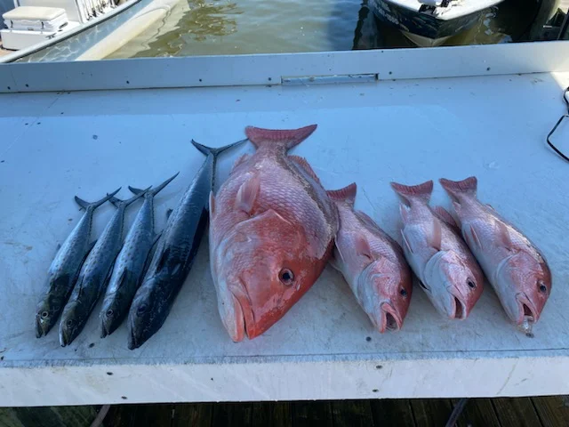 Fishing in Destin
