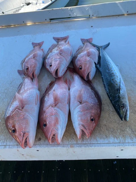 Fishing in Destin