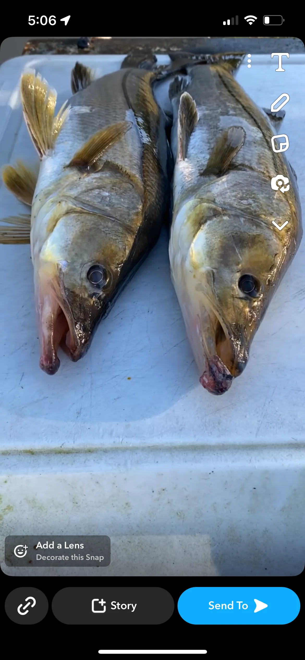 Fishing in Destin