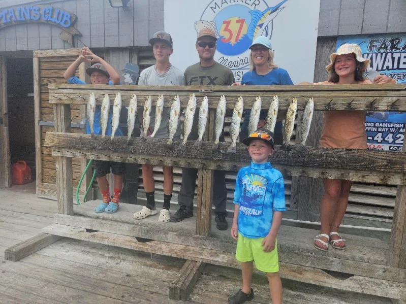 Full day6-7hr