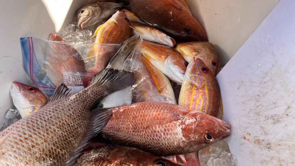 Fishing in Destin