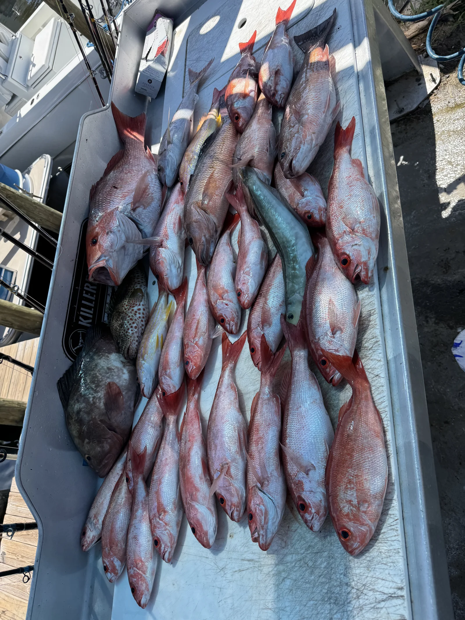 Fishing in Destin