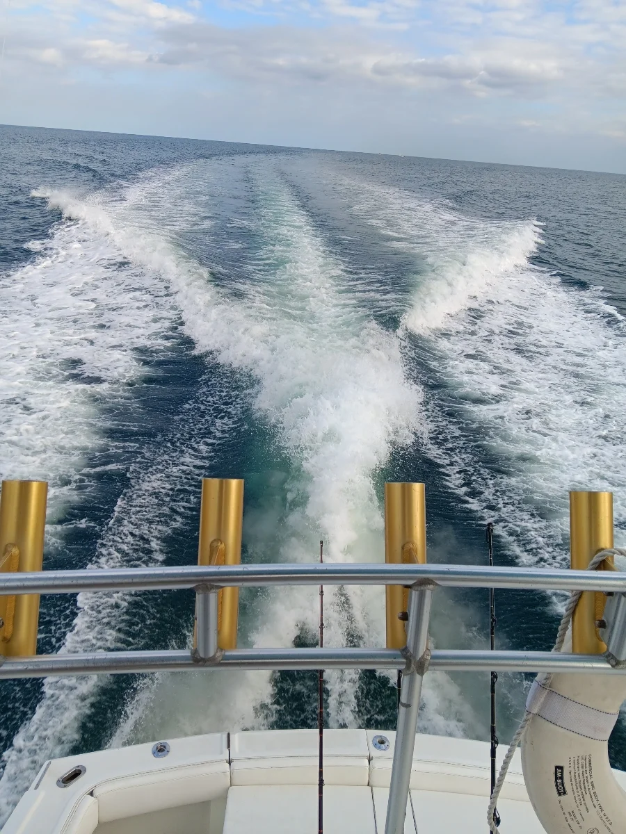 Luxury Trolling Trip