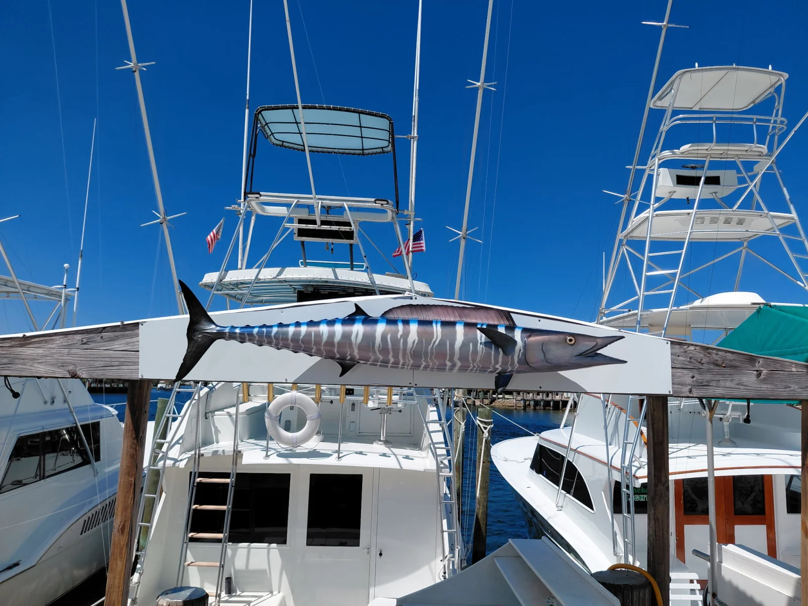 Luxury Trolling Trip