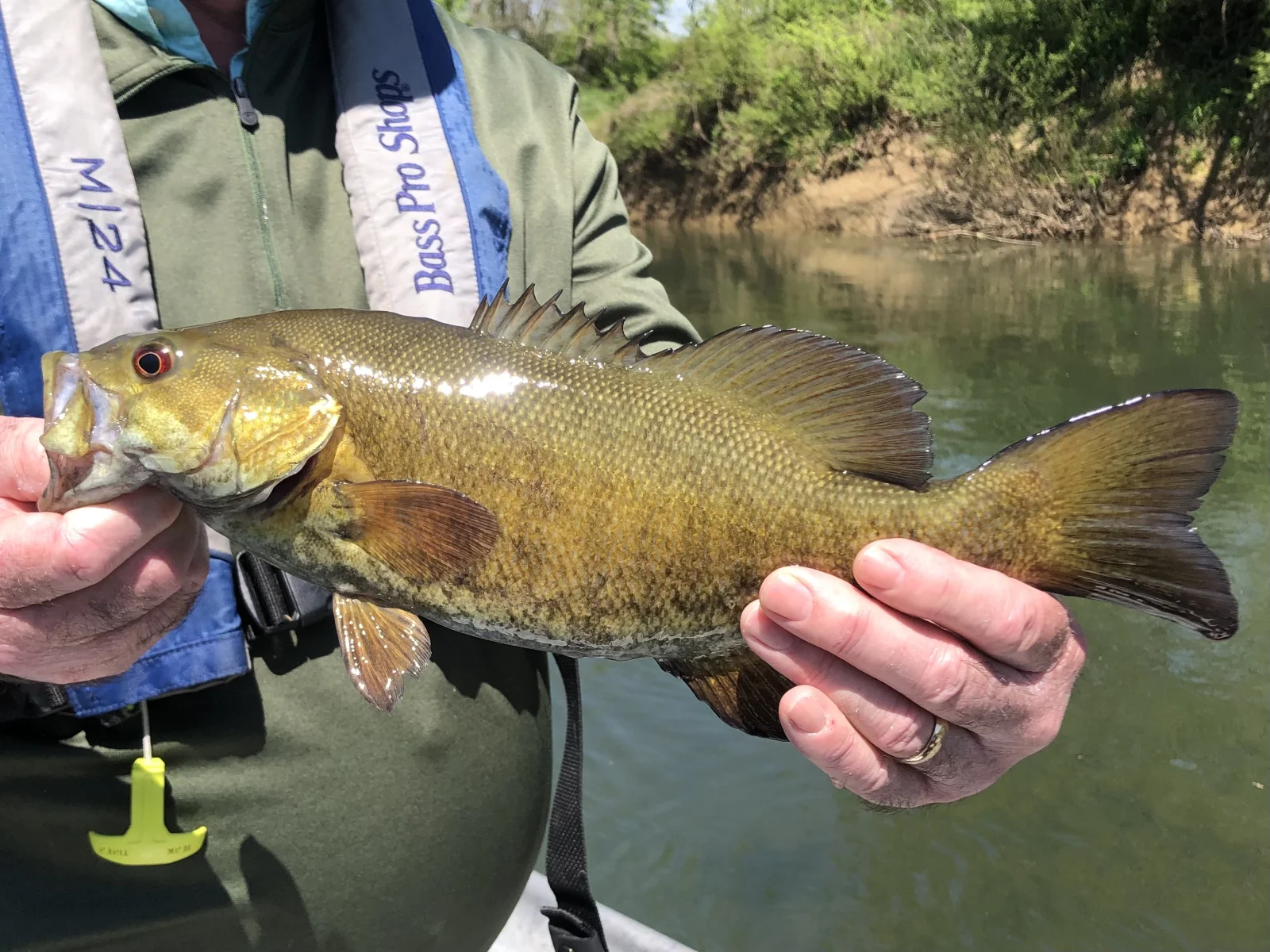 French Broad River Fishing