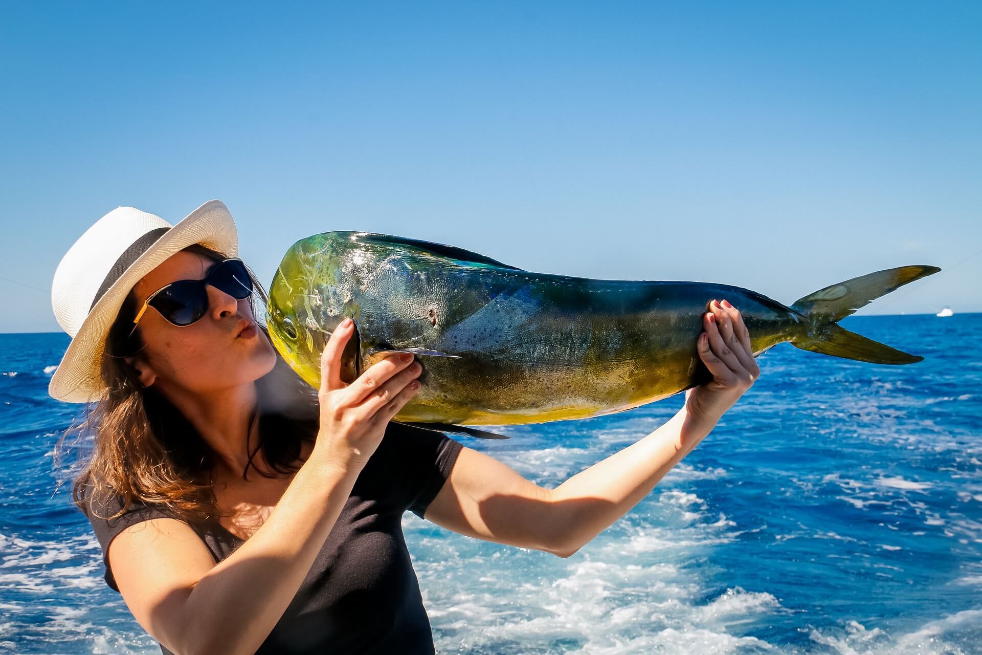 Cabo Luxury Fishing - 60' Bertram
