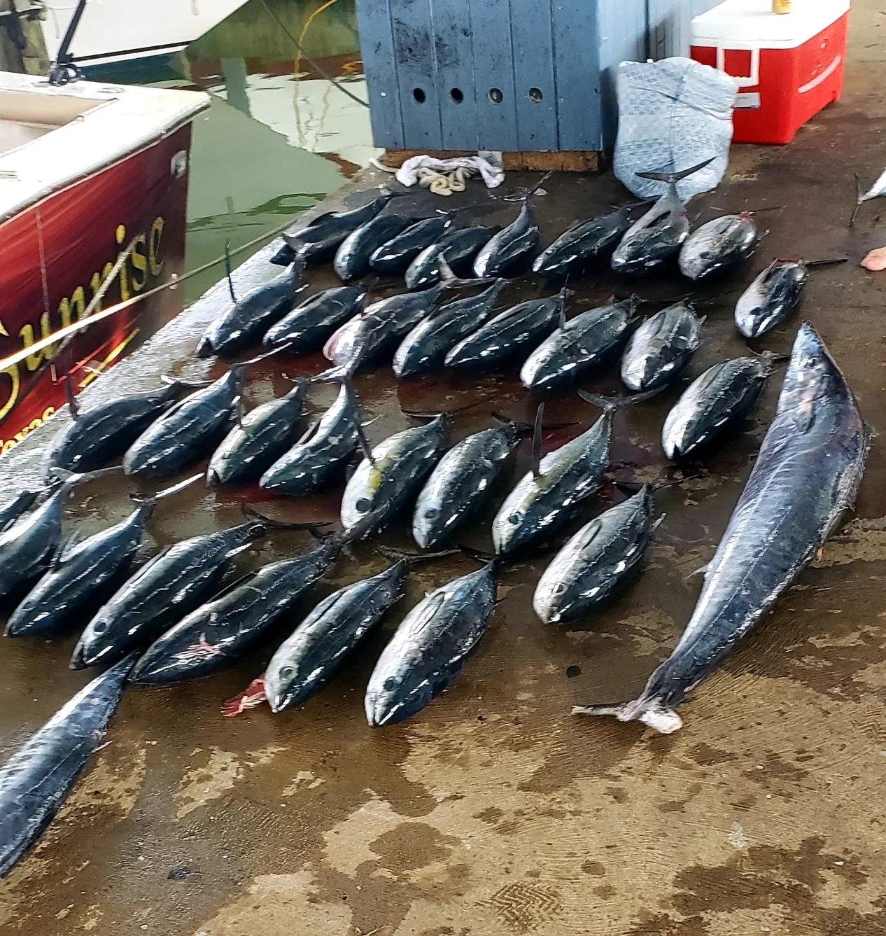 Fishing in Destin