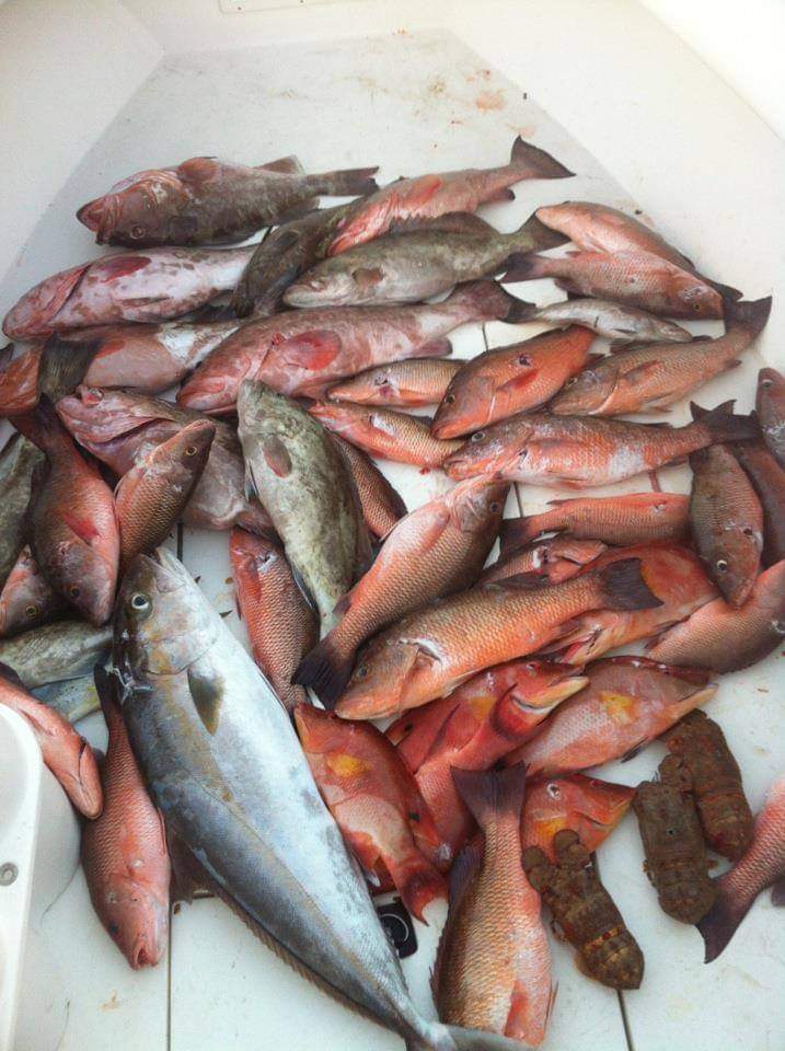 Fishing in Destin