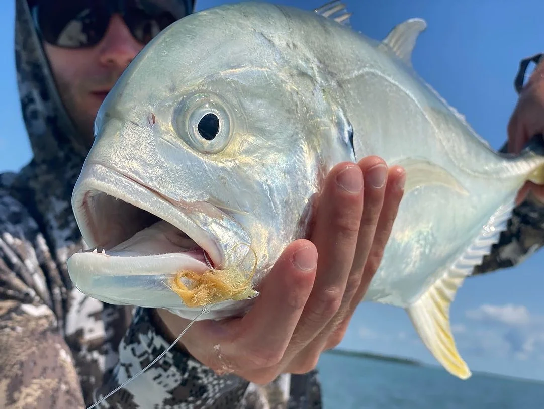 Inshore / Backcountry Light Tackle Fishing