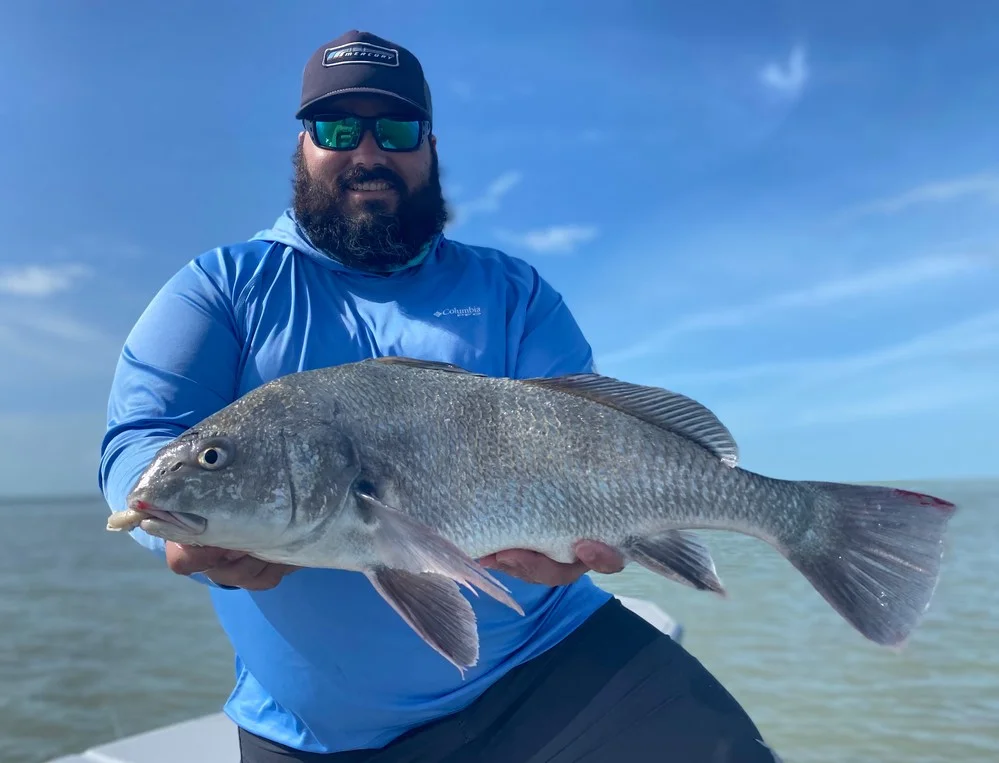 Black Drum Fishing in Key Biscayne, Florida