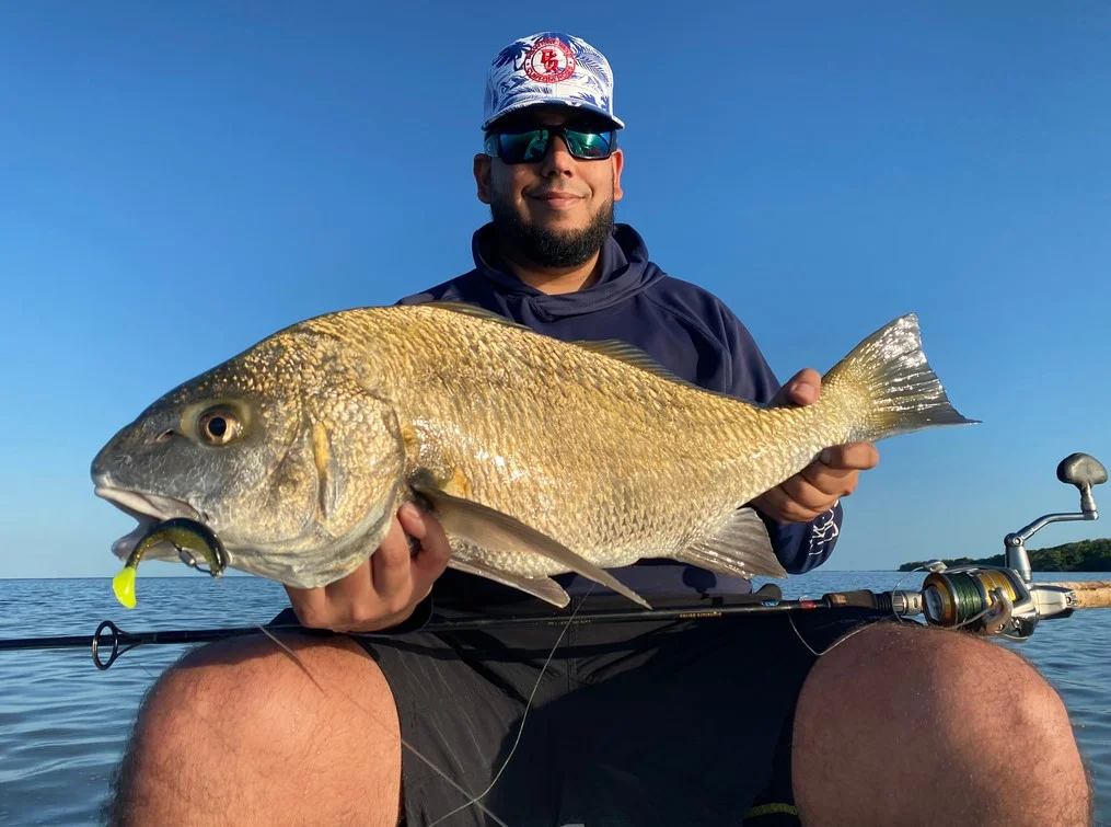 Black Drum Fishing in Key Biscayne, Florida